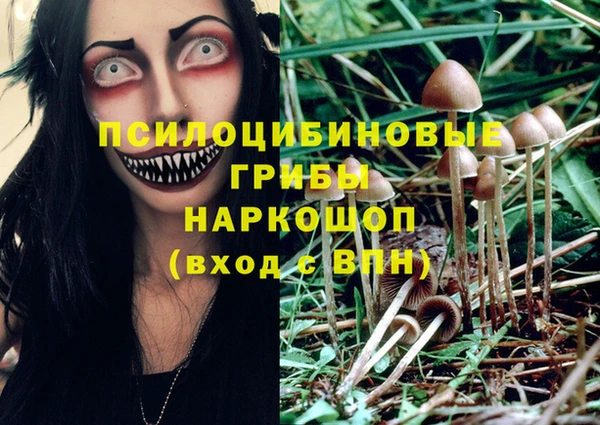 гашик Алзамай